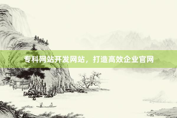 专科网站开发网站，打造高效企业官网