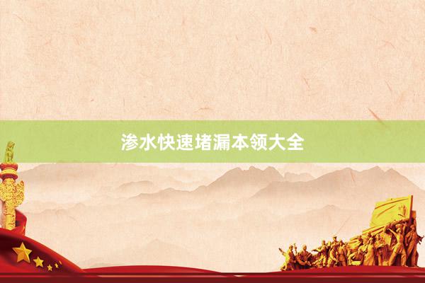 渗水快速堵漏本领大全