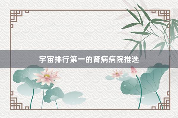 宇宙排行第一的肾病病院推选