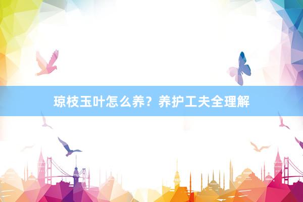 琼枝玉叶怎么养？养护工夫全理解